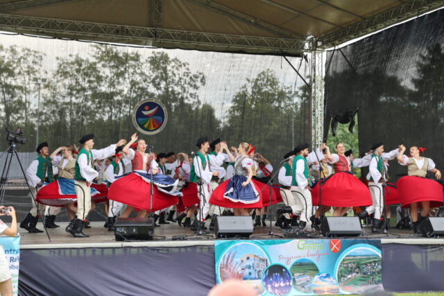 XX Światowy Festiwal Polonijnych Zespołów Folklorystycznych – 20260719 – 29