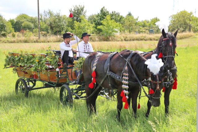 Gminne Dożynki – 20268023 – 012