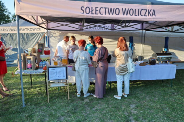 Gminne Dożynki – 20268023 – 192